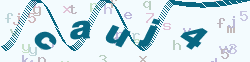 verify_code